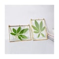 Miniatyrbilde 5 av 5: Gullfarget glass messing veggmontert bilderamme kunstverk displayramme, dobbel glass flytende ramme St