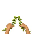Miniatyrbillede 2 af 8: Stek stöd  Roasting Laurel Prepara Green
