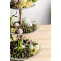 Miniatyrbillede 2 af 3: Ägg Glas Sammet Färg Mix Natur 9-pack A lot Multicolor