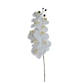 Pikkukuva 1 / 2: Konstväxt Orkidé kvist vit 80cm Stjernsund Kollektion White