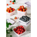 Miniatyrbild 3 av 3: Frysburk 5 pack x 0,5 L Lavendel Lila