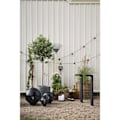 Pikkukuva 5 / 6: Blockljus Flamme LED, INNE/UTE Star Trading White 15 cm