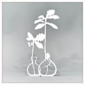 Miniatyrbillede 1 af 2: Ekollon - dekoration White