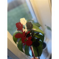 Miniatyrbillede 6 af 6: Ros - Grace Älska plåt Black