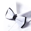 Miniatyrbillede 2 af 3: Elegant dobbelt butterfly - Forskellige farver Dark red