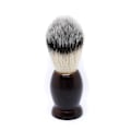 Miniatyrbilde 1 av 2: Rakborste Darwin Brown