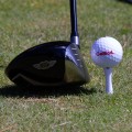 Miniatyrbild 4 av 4: Golfpeggar i plast / Castlepeggar 39 mm (40 st) Blå