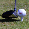 Miniatyrbilde 3 av 4: Golfplugger i plast / Castleplugger 24 mm (40 stk) White