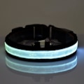 Miniatyrbilde 2 av 2: LED-lysende halsbånd til hund - Flere farger White M