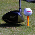 Miniatyrbild 3 av 3: Golfpeggar i plast / Castlepeggar 50 mm (40 st) Orange
