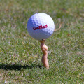 Miniatyrbilde 3 av 4: Nakne damer plugger / greenkeeper (5 stk)