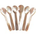 Pikkukuva 1 / 2: Set med 6 pärlemor 11,5 cm X 3 cm sked