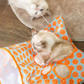 Miniatyrbild 6 av 7: Kattunnel Väska Vikbar Interaktiv 5 Hål Knastrande Ljud Tunnel Husdjursborrhink med Plyschbollar för Katter Kattungar Orange