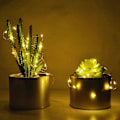 Miniatyrbild 4 av 5: 16st LED-lampor Batteridrivna String Lights 20/30 Led