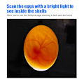 Miniatyrbilde 5 av 6: Blå 9-LED Egg Inkubator Lyslampe - Fjærfe Tilbehør for Klekketester