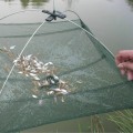 Miniatyrbillede 3 af 8: Sammenklappelig fiskenet fisk rejer krabbe agn kaste net maske fælde