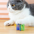 Miniatyrbild 4 av 6: 8st Färgglada Kattfjäderleksaker Plastfjädrar kattleksaker