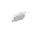 Miniatyrbild 2 av 5: Uppdragbar Racing Mus Plysch Husdjur Leksak Mus Teaser Leksak Realistisk Uppdragbar Racing Mus Uppdragbar Leksak Running Mus Slumpmässig Färg