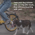 Miniatyrbild 3 av 5: Rullbart hundkoppel för cykel, handsfree cykelkoppel