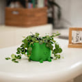 Miniatyrbild 4 av 8: Happy Face er Handgjord 3D-printad e Gitarr er För Gitarrälskare Reading