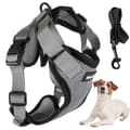 Hundsele tryckfri med koppel 150 cm stl L blandade färger