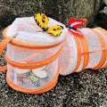 Miniatyrbild 11 av 11: Mesh Hushålls Fjärilbur Insektsbur Förvaringshink Växtbur K3C4 orange 1pcs