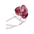 Miniatyrbild 2 av 11: Koreansk version av Phalaenopsis orkidé tofs streamer för kvinnor med hög hästsvans accessoar O1 red one-size