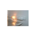 Miniatyrbild 3 av 4: 2-pack E14 Högtemperatur Glödlampa 500 Grader 25w Halogen Bubbla Ugnslampa