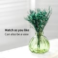 Miniatyrbillede 4 af 5: Sprøjteflaske, Glas Blomst Vand Sprøjteflaske Kan
