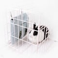 Miniatyrbillede 3 af 3: Kanin Høfoderpose, Marsvin Høfoder Opbevaring, Sæk Høpåse Foderpåse Høfoder Opbevaring Til Chinchilla Hamstere Kanin Guinea-l