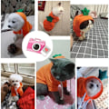 Miniatyrbillede 4 af 5: IC Kæledyrs Tøj Hund Hættetrøjer Varmt Trøje Kappe Hvalp Efterår Vintertøj Jumpsuit med Frugt Hætte, Gulerod, M