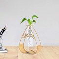 Miniatyrbild 5 av 5: Glasvas Ins Nordic Style Hydroponisk Geometrisk Form Ornament