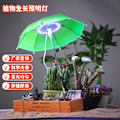Miniatyrbillede 3 af 8: Simpel ny USB plante lampe led plantevækst lys hjem indendørs fyldlys blomst potteplante solskærm black Direct plug basic model