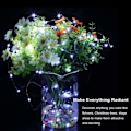 Miniatyrbild 4 av 5: 2-pack Fairy Lights Fairy String Lights Batteridriven