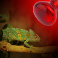 Miniatyrbillede 1 af 5: Reptil Lys 75W Infrarød Solbadsplads