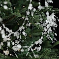 Miniatyrbilde 3 av 9: Fiskesnøre fast perle kjede som forbinder perler jule iskrystall anheng perler rotting krans juletrepynt 2M transparent snowflake string