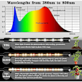 Miniatyrbillede 4 af 5: Plante Lampe, 2020 Ny 80 LEDs 4 Hoveder Vækstlys, AUTO Timer - ON/OFF Led Vækstlys til Frøplanter, Sukkulenter, Orkide (660nm/3000K/5000K)