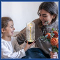 Miniatyrbillede 4 af 5: Galaxy Rose Mors Dag Gave til Mor Unik Kærlighed Mor Gave Farverig Kunstig Forever Blomst Glas Rose LED-lys Mors Dag Roser