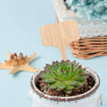 Miniatyrbillede 3 af 4: 50 ST Bambu Plantemærker, T-Formet Plantepinde Haveetiketter