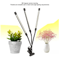 Miniatyrbild 3 av 5: LED Växtlampa 10 Nivåer Dimbar med Timer för Inomhusväxter och Blommor, USB-driven, DUBUNS