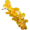 Miniatyrbillede 5 af 5: 2 stk. Kunstige Orkide Stængler Real Touch Orkide Højde Falsk Phalaenopsis Blomst Kunstig Blomst til Hjem Bryllup Blomsterdekoration
