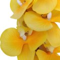 Miniatyrbillede 3 af 5: 2 stk. Kunstige Orkide Stængler Real Touch Orkide Højde Falsk Phalaenopsis Blomst Kunstig Blomst til Hjem Bryllup Blomsterdekoration