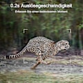 Miniatyrbillede 4 af 5: Vildtkamera, Jaktkamera med vidvinkelbevægelse Seneste sensor View Trigger Time Trail Game Camera Uden Glød Og Vandafvisende Til Vildt Overvågning