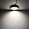 Miniatyrbild 1 av 9: Fullspektrum växtlampa växthus växthusplantering drakfrukt inomhus LED-växtlampa gruvlampa 100W-4000K