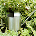 Miniatyrbillede 5 af 5: 11OZ/300ml Børstet Rustfrit Stål Tyk Vandkande Lang Tud Mini Vandkande til Bonsai Blomster Planter i Have Hjemmekontor Terrasse