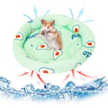 Miniatyrbilde 1 av 5: Galaxy Kanin Hamster Kjølematte Summer Ice Silk Soveseng for Små Kjæledyr Valp Marsvin (Stil 2) Farge 1