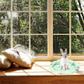 Miniatyrbilde 5 av 5: Galaxy Kanin Hamster Kjølematte Summer Ice Silk Soveseng for Små Kjæledyr Valp Marsvin (Stil 2) Farge 1