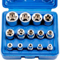 Miniatyrbillede 2 af 5: DEBUNS 14 stk. E4-E24 E-Torx Hex Hun Torx Top Sæt