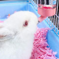 Pikkukuva 5 / 5: 4 x 80 ml vesidispenseri hamsterille, kanille, marsulle ja oravalle