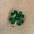 Pikkukuva 5 / 5: 2kpl Vihreä Irlantilainen Neljänlehti Patricks Day -brossi